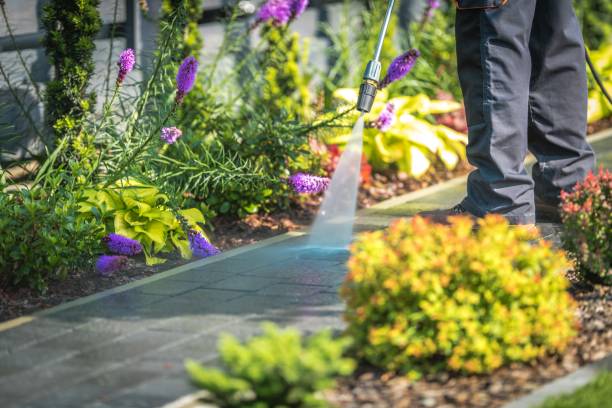 Best Driveway Pressure Washing  in Ashland City, TN